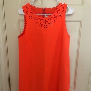 Adorable orange J Crew Dress.  NWT.  Large.  12